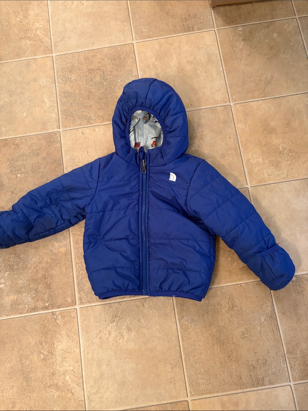 The North Face Kids Royal Blue Hooded Puffer Jacket